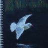 Black+White in Flight