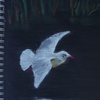 WhiteBird PMP9265.JPG