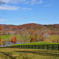 Fall at the Marriott Ranch in Virginia 2018.jpg