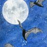 Bats and Full Moon
