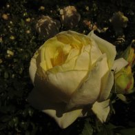 IMG_0538.JPG