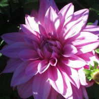 IMG_0669.JPG