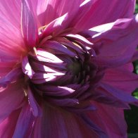 IMG_0679.JPG