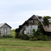 DSC_0980.JPG