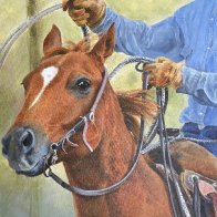 only-as-good-as-his-horse 2.jpg