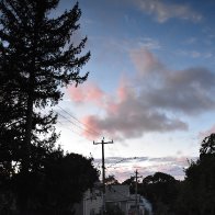 DSC_0413.jpeg