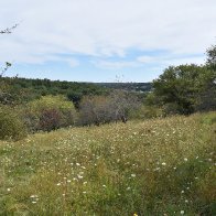 DSC_0521.jpeg