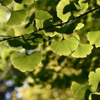 DSC_0544.jpeg