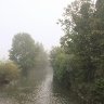 Mist in the morning 