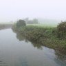 IMG_5421