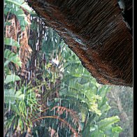 IMG_6392.JPG