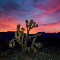 Gold Basin Sunrise, AZ.jpg