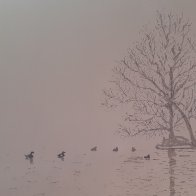20251004_094111.jpg