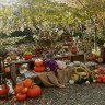Autumn display 2025