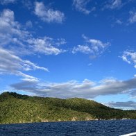 IMG_5175.jpeg