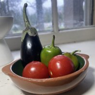 IMG_2878.jpeg