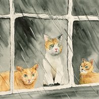 IMG_1574.jpeg