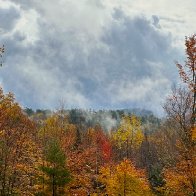 IMG_1565 copy.jpg