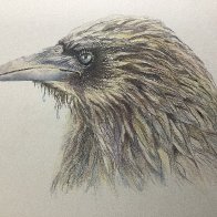IMG_2208.jpeg