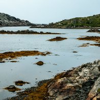_43A6097.jpg