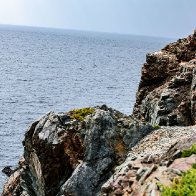 _43A6083.jpg