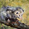 Possum
