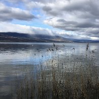 IMG_3693.JPG
