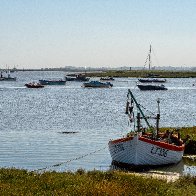 D7500_45516-Edit.jpg