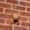 Just hanging about