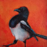 Magpie Strut.jpg