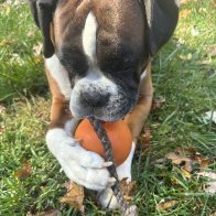 IMG_9080.jpeg