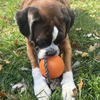 IMG_9081.jpeg