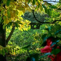 A Glimpse Through The Window.jpg