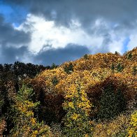 Nature's Autumn Display.jpg