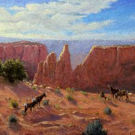 Bighorn Sheep Morning.JPG