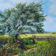 country-gates reduced02.jpg