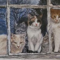 Bird Watch Club 8x12 colored pencil 11.25.jpg