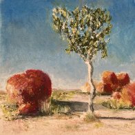 arbre australie B OP.jpg