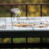 Bye - See you later.jpg