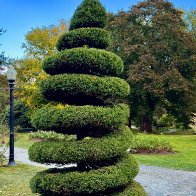 IMG_9416_framed (2).jpg