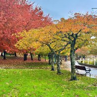 IMG_0007_framed (1).jpg