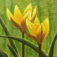 WhatsApp Image 2025-11-04 at 20.08.04.jpeg