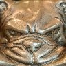 Brass Bulldog Head
