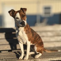 IMG_7130_Original Copy.jpeg