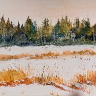 Bonnie’s Winter Meadow.JPG