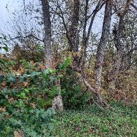 20251108_140438 (2).jpg