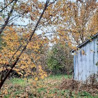 20251108_140604 (4).jpg