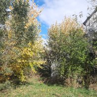 20251030_145024 (2).jpg