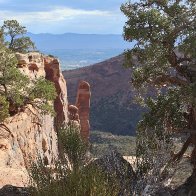 Trees on the cliff.jpg