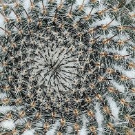 Acupuncture Junkie.jpg